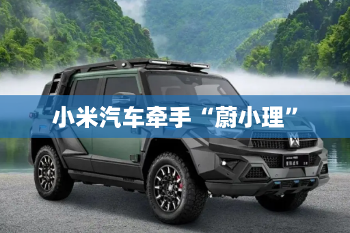 小米汽车牵手“蔚小理”