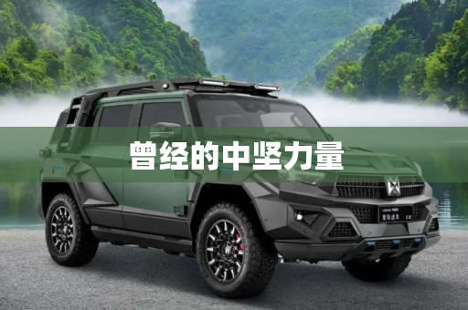 曾经的中坚力量