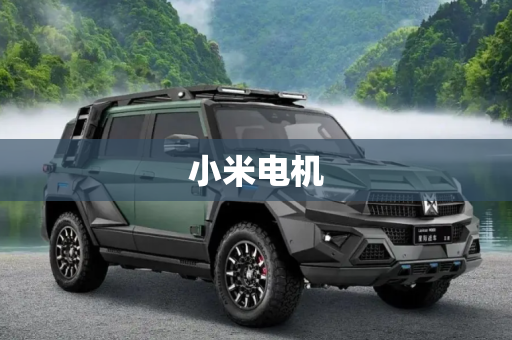 小米电机