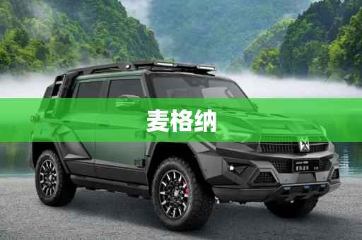 麦格纳