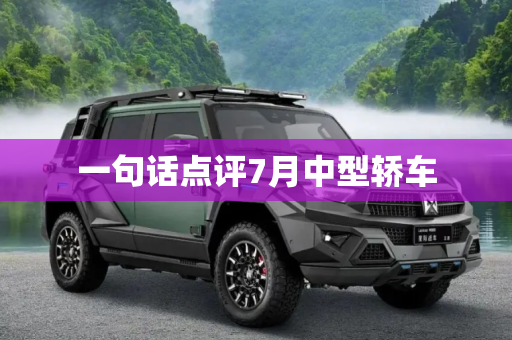 一句话点评7月中型轿车