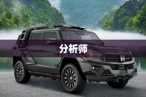 分析师