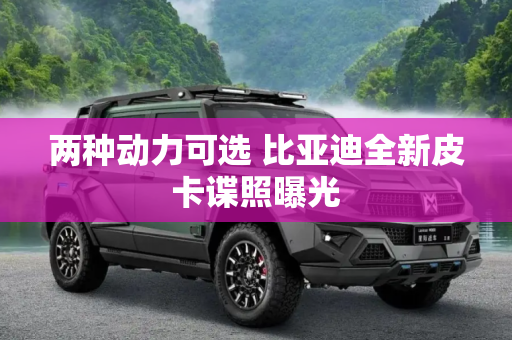 两种动力可选 比亚迪全新皮卡谍照曝光