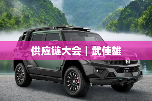 供应链大会｜武佳雄