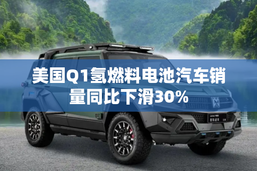 美国Q1氢燃料电池汽车销量同比下滑30%