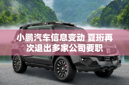 小鹏汽车信息变动 夏珩再次退出多家公司要职