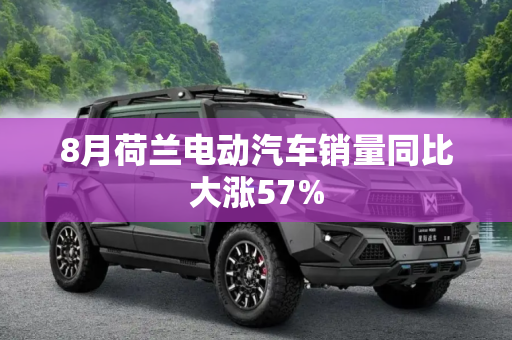 8月荷兰电动汽车销量同比大涨57%
