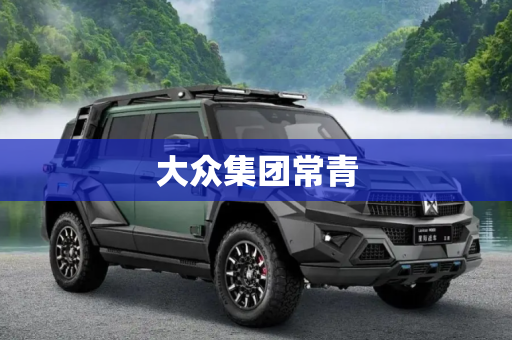大众集团常青