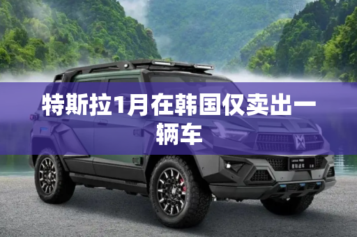 特斯拉1月在韩国仅卖出一辆车