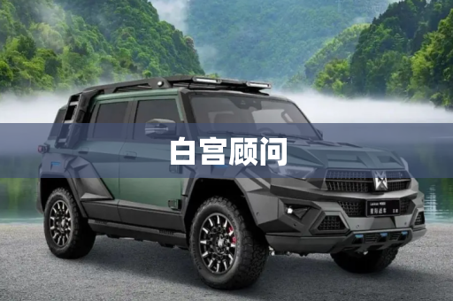 白宫顾问