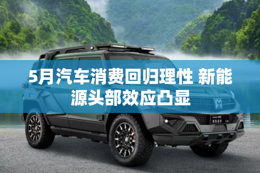 5月汽车消费回归理性 新能源头部效应凸显