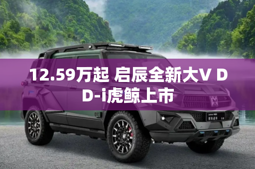 12.59万起 启辰全新大V DD-i虎鲸上市