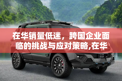在华销量低迷，跨国企业面临的挑战与应对策略,在华销量低迷