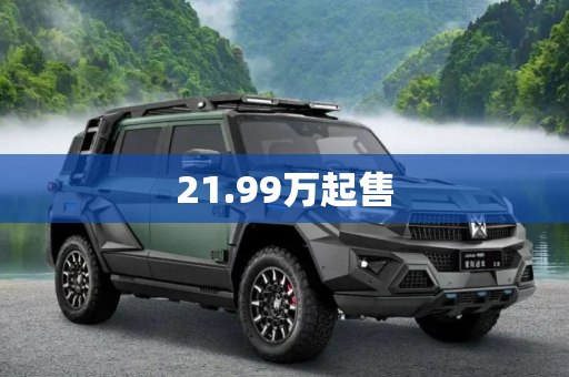 21.99万起售