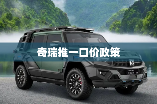 奇瑞推一口价政策