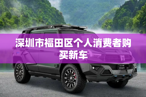 深圳市福田区个人消费者购买新车