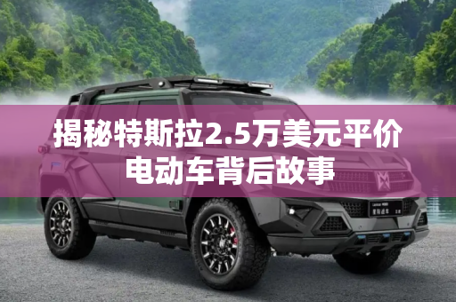 揭秘特斯拉2.5万美元平价电动车背后故事