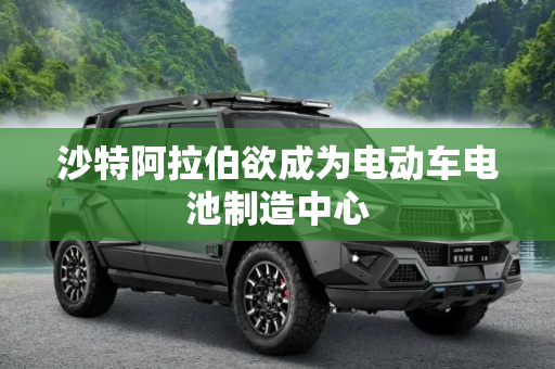 沙特阿拉伯欲成为电动车电池制造中心