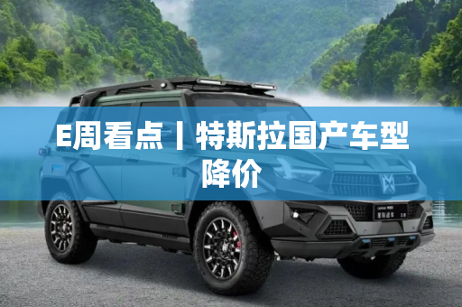 E周看点丨特斯拉国产车型降价