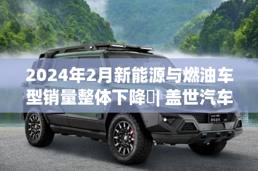 2024年2月新能源与燃油车型销量整体下降 | 盖世汽车国内乘用车终端销量数据