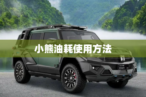 小熊油耗使用方法