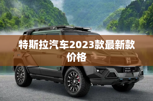 特斯拉汽车2023款最新款价格