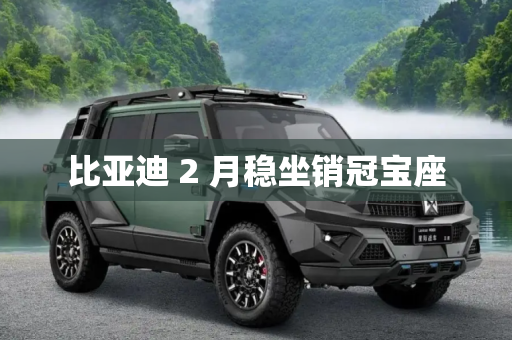 比亚迪 2 月稳坐销冠宝座