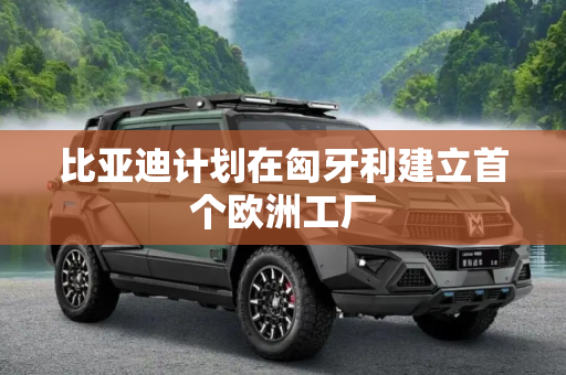 比亚迪计划在匈牙利建立首个欧洲工厂