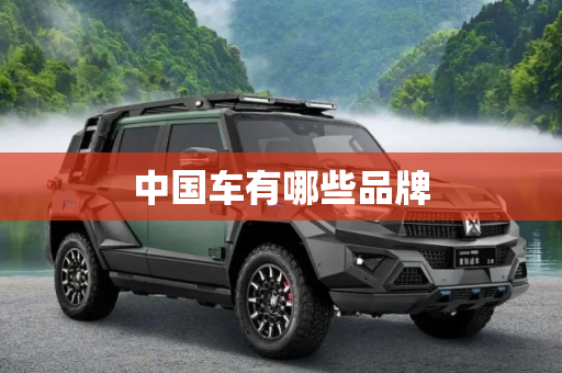 中国车有哪些品牌
