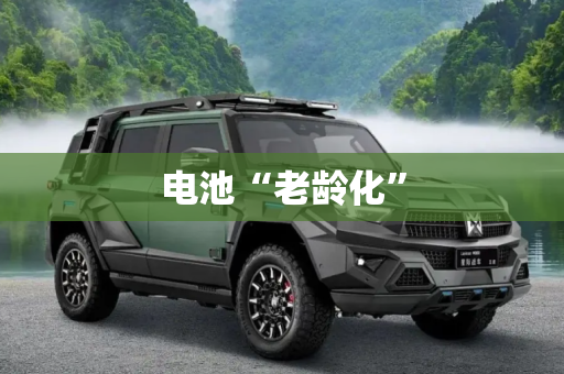 电池“老龄化”