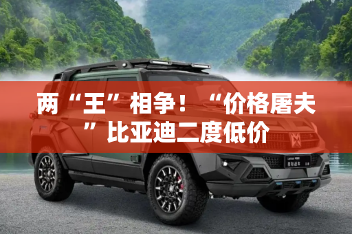 两“王”相争！“价格屠夫”比亚迪二度低价