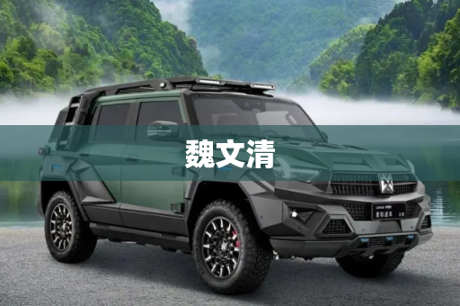 魏文清