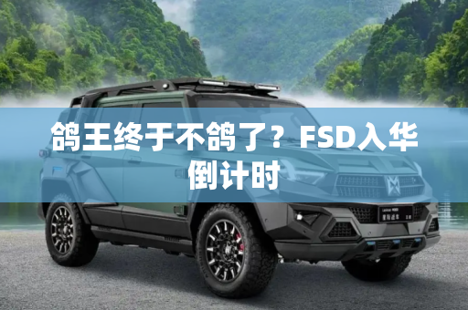 鸽王终于不鸽了？FSD入华倒计时