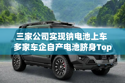 三家公司实现钠电池上车 多家车企自产电池跻身Top15