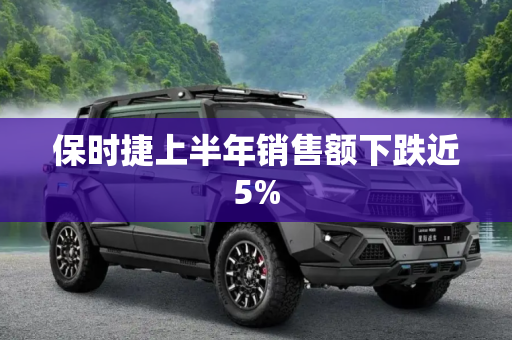 保时捷上半年销售额下跌近5%