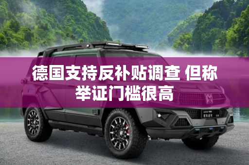 德国支持反补贴调查 但称举证门槛很高