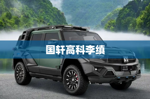 国轩高科李缜