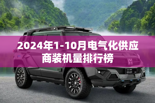 2024年1-10月电气化供应商装机量排行榜