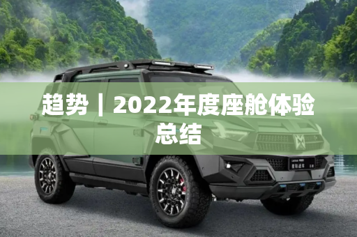 趋势｜2022年度座舱体验总结