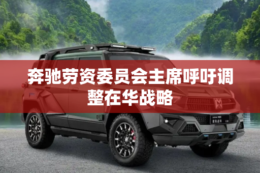 奔驰劳资委员会主席呼吁调整在华战略