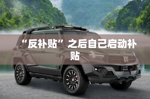 “反补贴”之后自己启动补贴