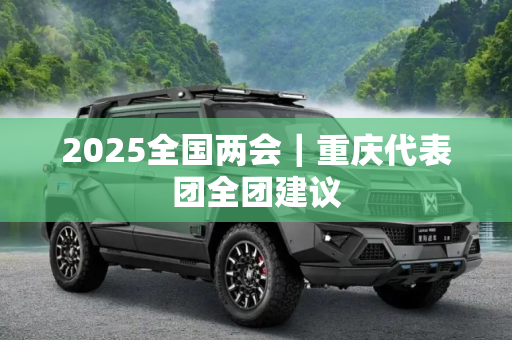 2025全国两会｜重庆代表团全团建议