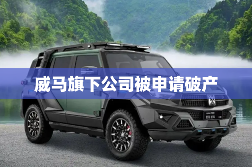 威马旗下公司被申请破产