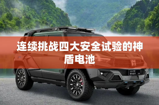 连续挑战四大安全试验的神盾电池