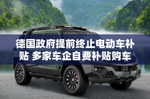 德国政府提前终止电动车补贴 多家车企自费补贴购车者