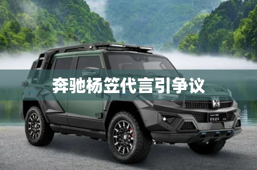 奔驰杨笠代言引争议