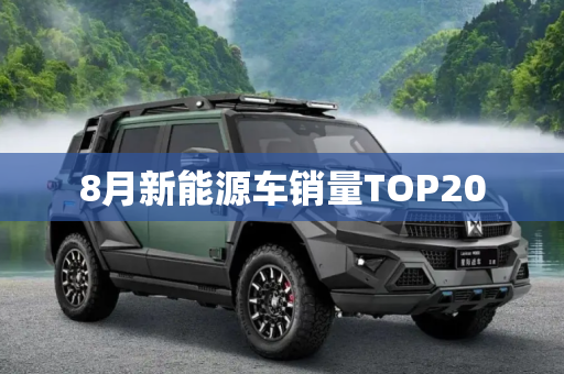 8月新能源车销量TOP20