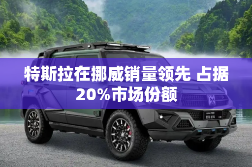 特斯拉在挪威销量领先 占据20%市场份额