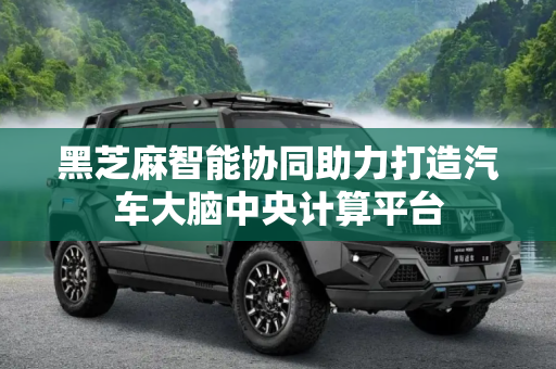 黑芝麻智能协同助力打造汽车大脑中央计算平台