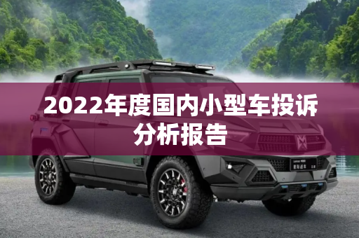 2022年度国内小型车投诉分析报告